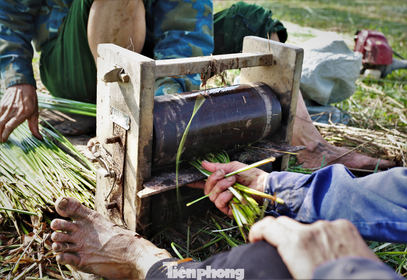 Máy chẻ cói có cấu tạo là 2 khối gỗ hình tròn (thường được làm bằng gỗ Lim) và lưỡi dao ở giữa. Cây cói khi chẻ phải thẳng để không bị mất gốc hay ngọn.