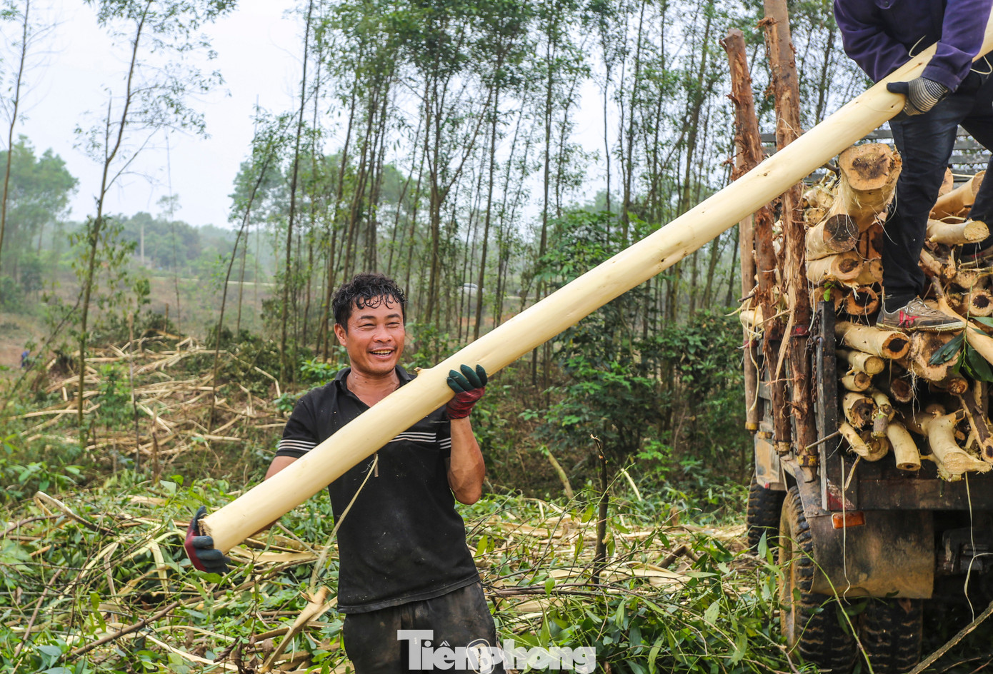 Tuy vất vả song có thêm thu nhập, nuôi con ăn học, họ tỏ rõ niềm vui trên môi. Tuy vất vả song có thêm thu nhập, nuôi con ăn học, họ tỏ rõ niềm vui trên môi.