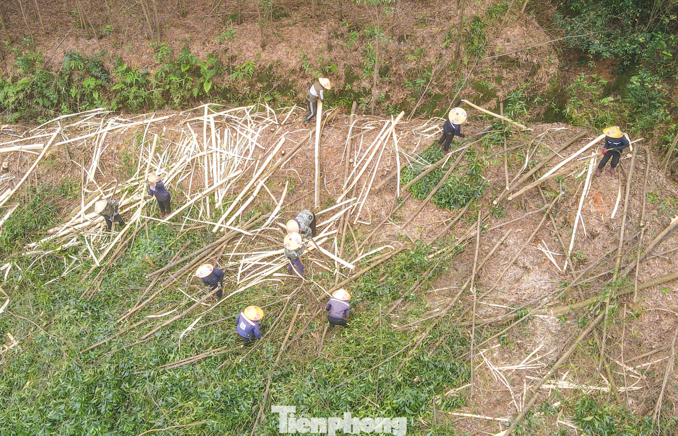 Để thu hoạch gỗ keo, thương lái ngoài thuê máy móc mở đường, còn phải thuê từng nhóm người dân địa phương đến cưa, bóc vỏ và vận chuyển lên xe. Công việc của họ bắt đầu từ 5h sáng đến chiều tối muộn. Để thu hoạch gỗ keo, thương lái ngoài thuê máy móc mở đường, còn phải thuê từng nhóm người dân địa phương đến cưa, bóc vỏ và vận chuyển lên xe. Công việc của họ bắt đầu từ 5h sáng đến chiều tối muộn.