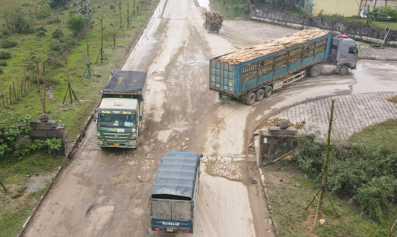 Lưu lượng xe tải, xe ben, xe đầu kéo chở keo tràm tăng cao trên các tuyến đường về Khu kinh tế Vũng Áng.