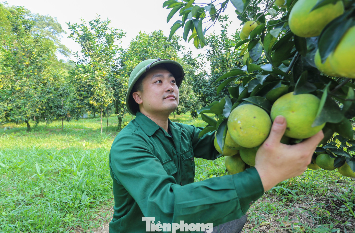 Lãnh đạo UBND xã Thượng Lộc cho biết: “Cam được trồng chủ yếu ở các thôn Anh Hùng, Sơn Bình, Nam Phong, Đông Phong… Năm nay sản lượng cam toàn xã đạt hơn 1.800 tấn, cho giá trị kinh tế hàng chục tỷ đồng. Cây cam vì thế trở thành cây trồng giúp người dân địa phương thoát nghèo, mang lại thu nhập khá.