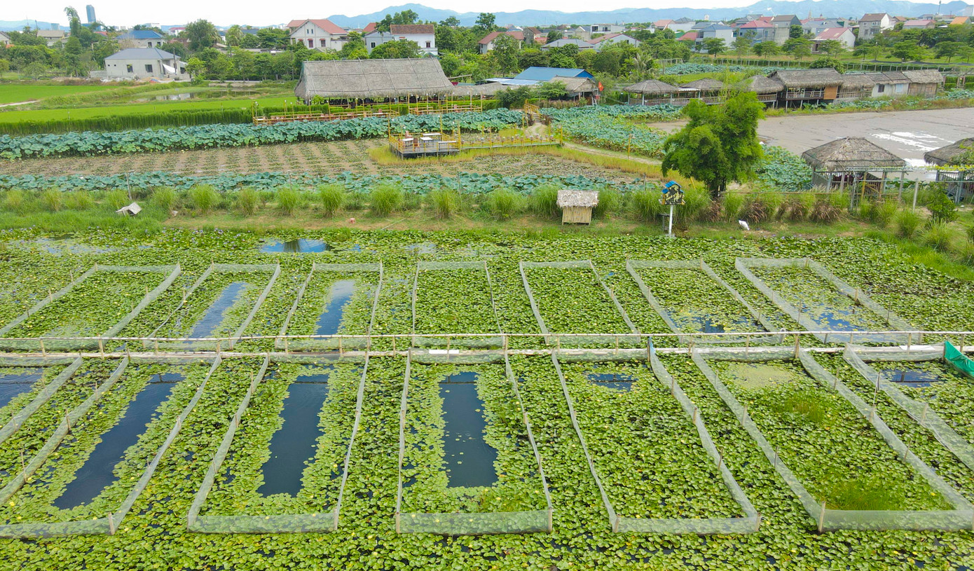 Mới đây, Phó Chủ tịch UBND tỉnh Hà Tĩnh Dương Tất Thắng đã ký ban hành văn bản về việc quản lý, khai thác quỹ đất ngắn hạn phục vụ phát triển du lịch trên địa bàn tỉnh. Trong đó, chủ trọng triển khai cho thuê quỹ đất ngắn hạn thông qua hợp đồng, không phải đấu giá quyền sử dụng đất, không cần lựa chọn nhà đầu tư hay yêu cầu phù hợp với quy hoạch sử dụng đất như các dự án đầu tư dài hạn nhằm phục vụ phát triển du lịch của tỉnh.