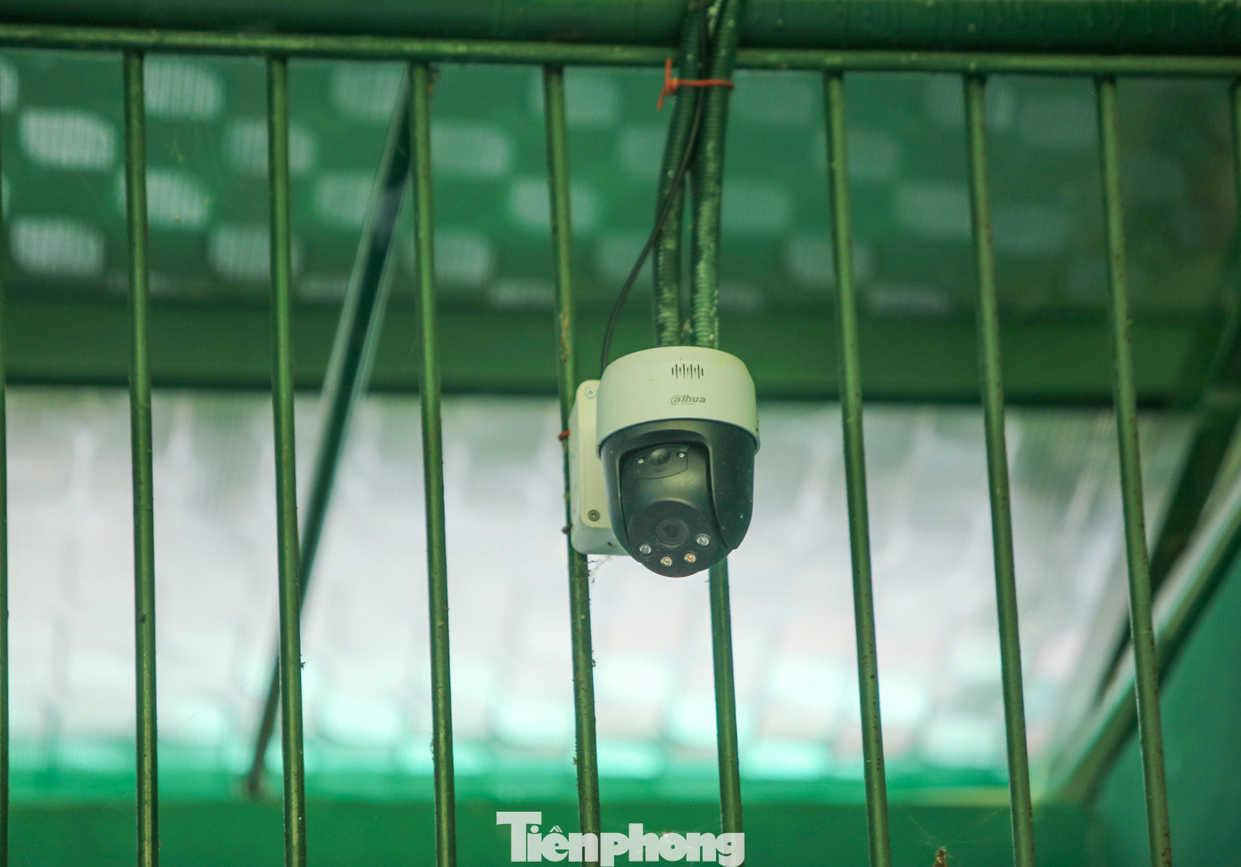 Đây là giống hổ tự nhiên, nên khi được đưa về đơn vị để nuôi dưỡng và bảo vệ, Vườn Quốc gia Phong Nha - Kẻ Bàng đã xây dựng phương án chăm sóc phù hợp với loài, vừa giúp hổ phát triển tốt, vừa bảo đảm gần gũi với môi trường sống tự nhiên của hổ. Bên trong mỗi chuồng nuôi được trang bị camera để giám sát hoạt động thường xuyên của hổ. Đây là giống hổ tự nhiên, nên khi được đưa về đơn vị để nuôi dưỡng và bảo vệ, Vườn Quốc gia Phong Nha - Kẻ Bàng đã xây dựng phương án chăm sóc phù hợp với loài, vừa giúp hổ phát triển tốt, vừa bảo đảm gần gũi với môi trường sống tự nhiên của hổ. Bên trong mỗi chuồng nuôi được trang bị camera để giám sát hoạt động thường xuyên của hổ.