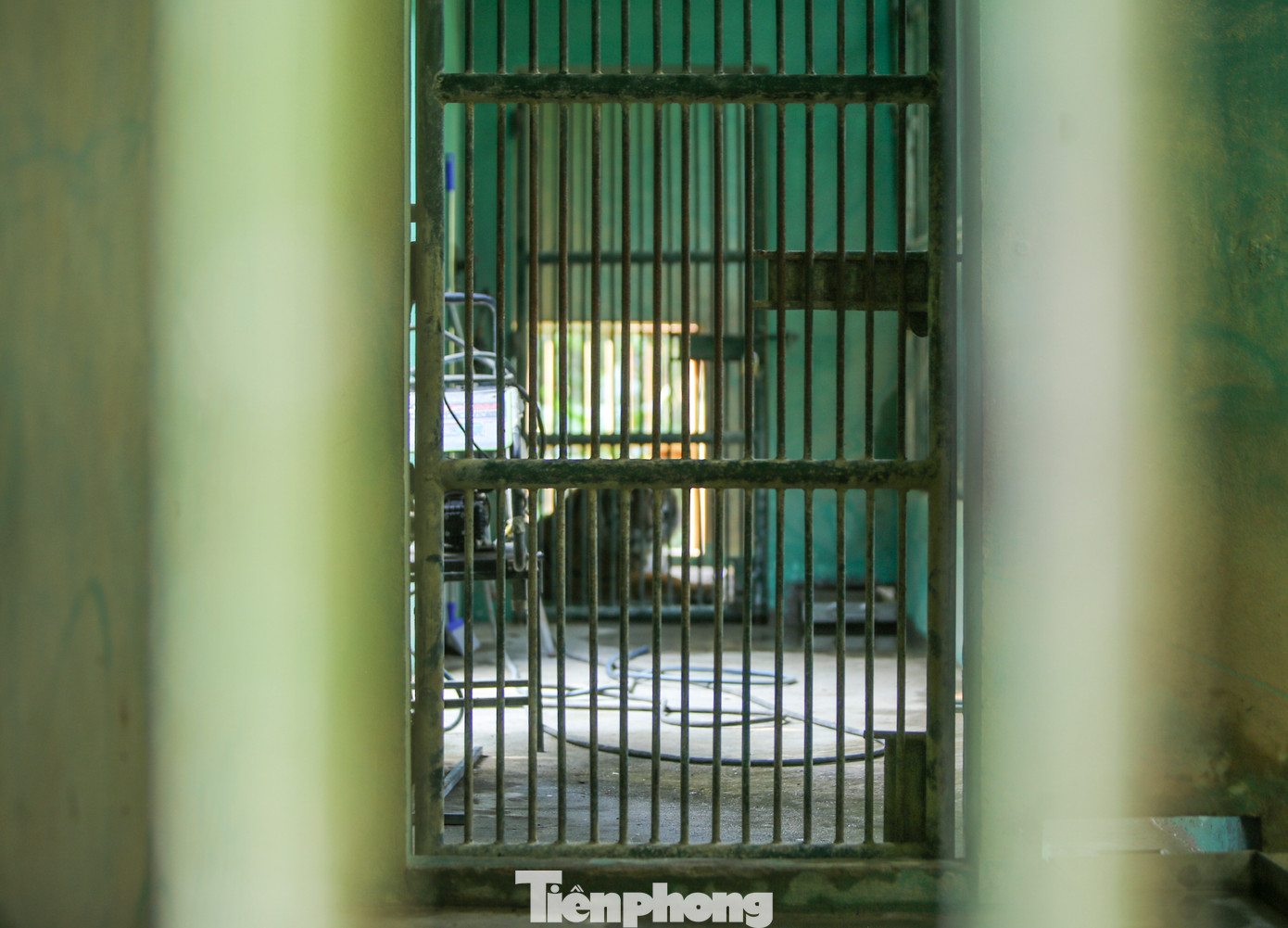 Ông Phạm Kim Vương - Phụ trách phòng Cứu hộ động vật thuộc Trung tâm Cứu hộ, bảo tồn và phát triển sinh vật cho hay, khu vực nuôi hổ rộng khoảng 5.000m2. Hổ được nuôi ở các chuồng riêng biệt rộng 26m2, xây kiên cố và có lớp tôn cách nhiệt, nền đất tự nhiên và bê tông kết hợp, cùng bể nước tắm và kệ nhằm đảm bảo môi trường sống phù hợp cho động vật hoang dã. Ông Phạm Kim Vương - Phụ trách phòng Cứu hộ động vật thuộc Trung tâm Cứu hộ, bảo tồn và phát triển sinh vật cho hay, khu vực nuôi hổ rộng khoảng 5.000m2. Hổ được nuôi ở các chuồng riêng biệt rộng 26m2, xây kiên cố và có lớp tôn cách nhiệt, nền đất tự nhiên và bê tông kết hợp, cùng bể nước tắm và kệ nhằm đảm bảo môi trường sống phù hợp cho động vật hoang dã.