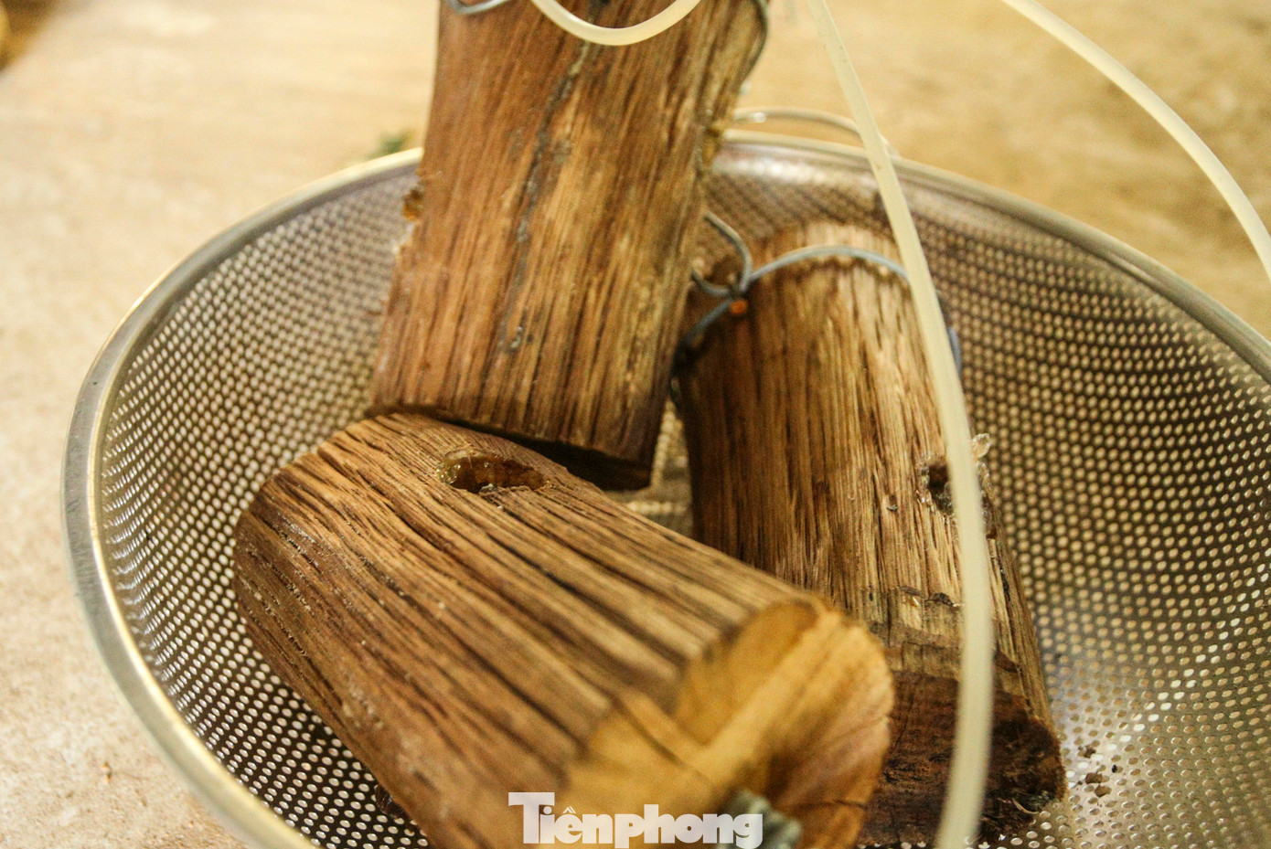 “Việc cứu hộ, cứu chữa, chăm sóc các loài động vật đã khó nhưng không làm mất đi bản tính hoang dã để thả chúng lại môi trường tự nhiên. Có nhiều cá thể bị nuôi nhốt lâu không đủ điều kiện sinh tồn ngoài tự nhiên như mất tập tính hoang dã, mất chức năng vận động được chuyển vào khu phục hồi chức năng. Trung tâm có những cách thức để phục hồi tập tính sinh thái và chức năng vận động cho chúng, rồi đưa ra khu nuôi thả bán hoang dã một thời gian để thích nghi dần, sau đó mới thả ra môi trường tự nhiên” ông Trần Ngọc Anh - Giám đốc Trung tâm Cứu hộ, bảo tồn và Phát triển sinh vật cho biết. “Việc cứu hộ, cứu chữa, chăm sóc các loài động vật đã khó nhưng không làm mất đi bản tính hoang dã để thả chúng lại môi trường tự nhiên. Có nhiều cá thể bị nuôi nhốt lâu không đủ điều kiện sinh tồn ngoài tự nhiên như mất tập tính hoang dã, mất chức năng vận động được chuyển vào khu phục hồi chức năng. Trung tâm có những cách thức để phục hồi tập tính sinh thái và chức năng vận động cho chúng, rồi đưa ra khu nuôi thả bán hoang dã một thời gian để thích nghi dần, sau đó mới thả ra môi trường tự nhiên” ông Trần Ngọc Anh - Giám đốc Trung tâm Cứu hộ, bảo tồn và Phát triển sinh vật cho biết.