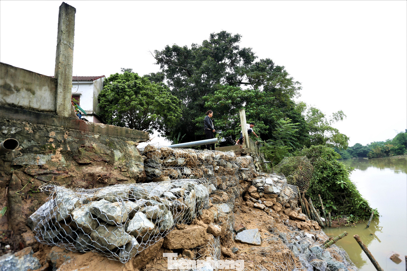 Sạt lở bờ sông cũng “nuốt chửng” nhiều diện tích vườn, cách căn nhà của ông Cao Nam Tình (60 tuổi) chỉ vài mét. Để ngăn sạt lở, chính quyền cùng người dân đã dùng rọ thép, hàng chục khối đá để gia cố song đó chỉ là biện pháp tạm thời.