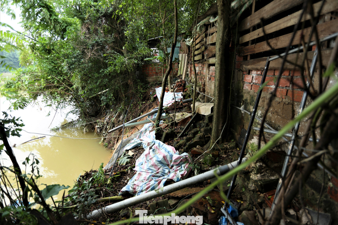 Lãnh đạo địa phương cho biết ngành chức năng của tỉnh Hà Tĩnh, UBND huyện Cẩm Xuyên từng nhiều lần về kiểm tra song hiện chưa có thêm dự án kè chống sạt lở, hệ thống tiêu thoát lũ nào trên sông Ngàn Mọ để bảo đảm an toàn lâu dài cho người dân.