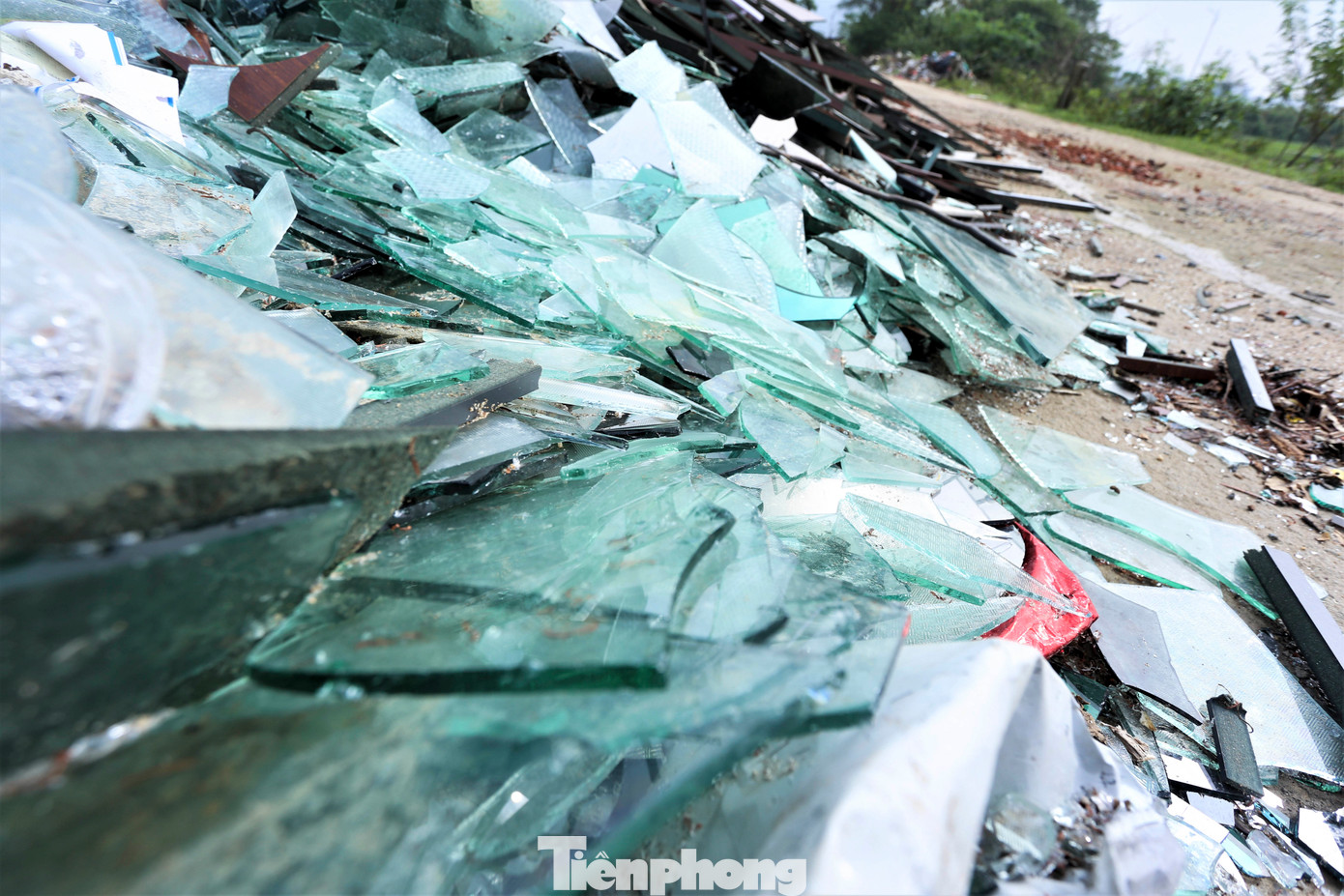 Những tấm kính vỡ, hư hỏng trở thành những chiếc bẫy nguy hiểm cho người dân qua lại khu vực. Những tấm kính vỡ, hư hỏng trở thành những chiếc bẫy nguy hiểm cho người dân qua lại khu vực.