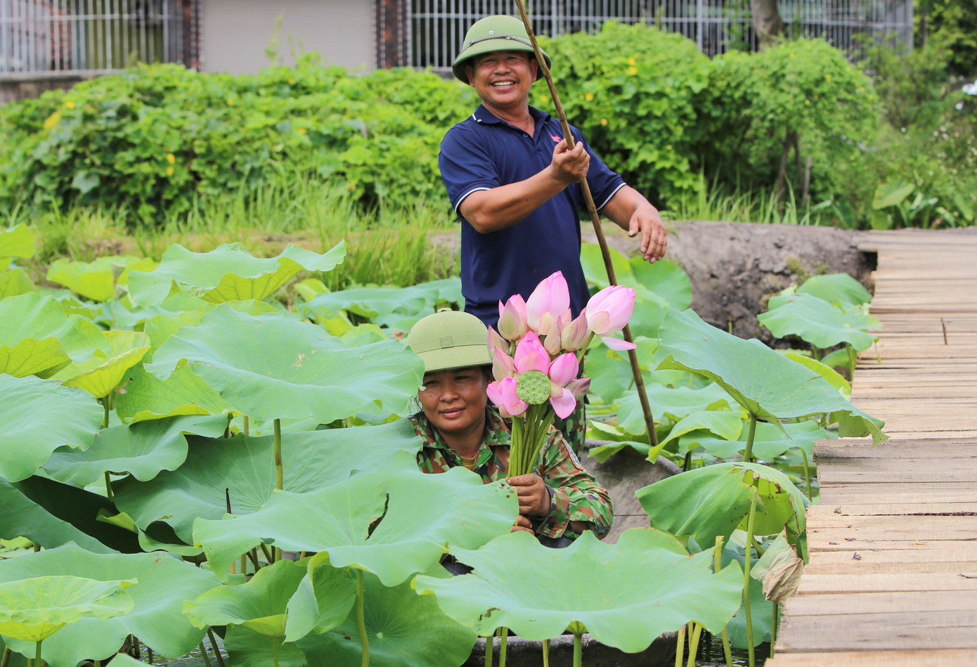 Ông Nguyễn Đức Hạnh (47 tuổi, trú xã Tiên Điền) cho biết, gia đình trồng sen đã hơn 20 năm. Mỗi ngày, vợ chồng ông lại đi thu hoạch đài sen, hoa sen, bán lại cho người dân trong vùng. Mới đây, khi có chương trình phát triển khu du lịch sinh thái, trải nghiệm ẩm thực từ chính đầm sen, gia đình rất hứng thú tham gia, phát triển.