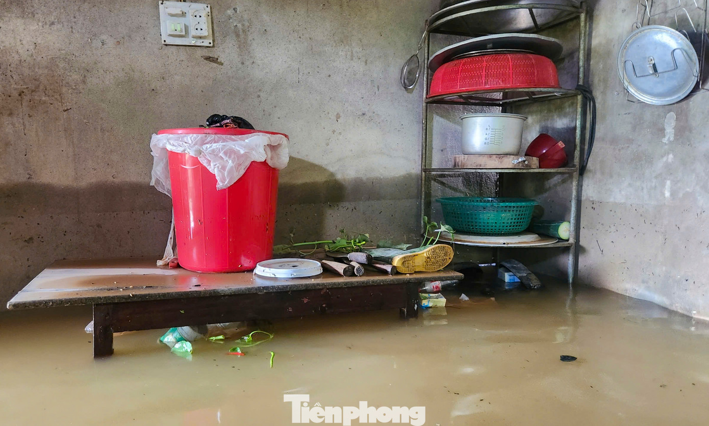 Theo thống kê sơ bộ, toàn huyện Cẩm Xuyên có 690 ha lúa bị ngập, hơn 1.800 tấn lúa bị ướt nước, hơn 175 ha hoa màu bị hư hỏng, hơn 11.000 con gia súc, gia cầm bị cuốn trôi...