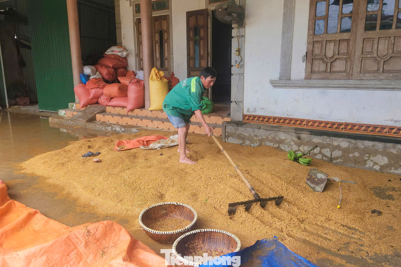 Lũ rút, người dân các xã bị ngập ở huyện Cẩm Xuyên, Thạch Hà... cố phơi lại lúa, giảm thiệt hại do thiên tai gây ra. Lũ rút, người dân các xã bị ngập ở huyện Cẩm Xuyên, Thạch Hà... cố phơi lại lúa, giảm thiệt hại do thiên tai gây ra.