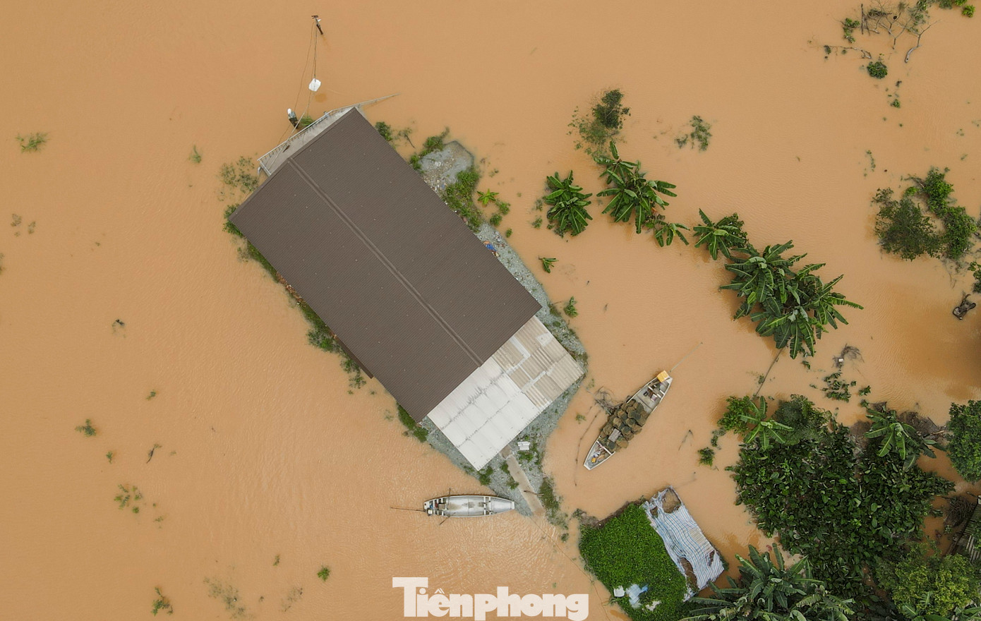 Theo thống kê sơ bộ, toàn huyện Cẩm Xuyên có 690 ha lúa bị ngập, hơn 1.800 tấn lúa bị ướt nước, hơn 175 ha hoa màu bị hư hỏng, hơn 11.000 con gia súc, gia cầm bị cuốn trôi...