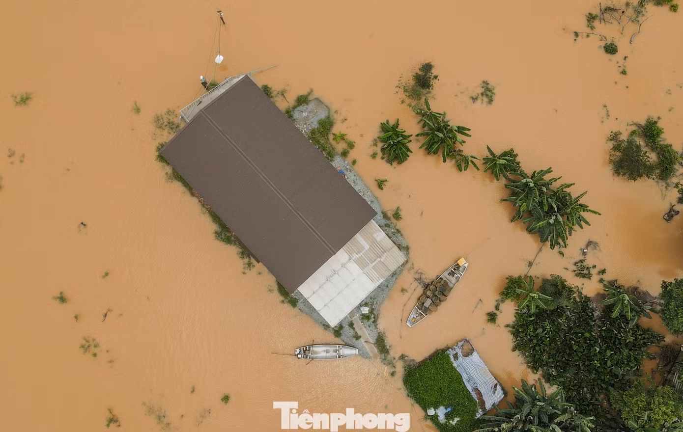 Theo thống kê sơ bộ, toàn huyện Cẩm Xuyên có 690 ha lúa bị ngập, hơn 1.800 tấn lúa bị ướt nước, hơn 175 ha hoa màu bị hư hỏng, hơn 11.000 con gia súc, gia cầm bị cuốn trôi...