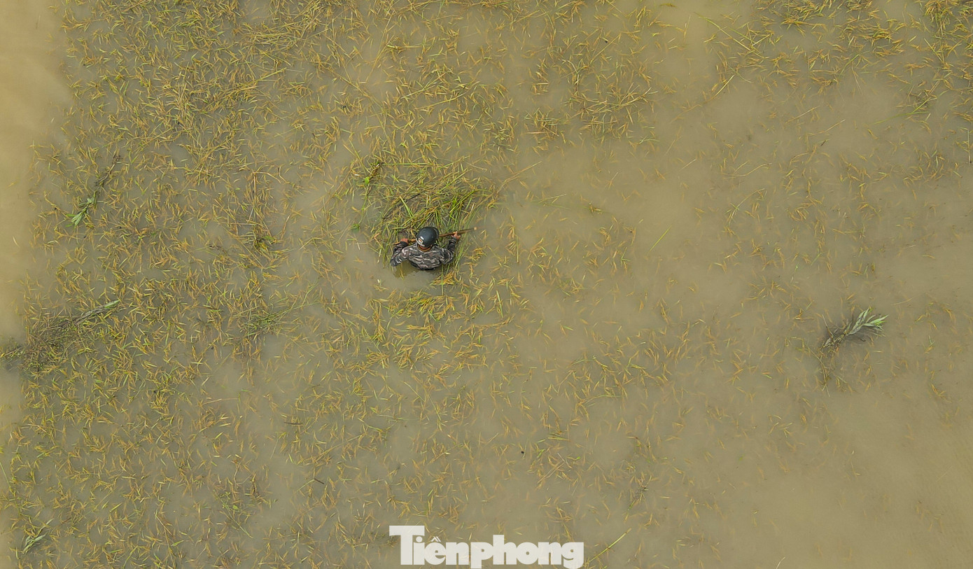 Do ảnh hưởng của trận mưa lớn từ ngày 24 tới sáng 25/5, hàng nghìn ha lúa chưa thu hoạch của người dân Hà Tĩnh bị ngập chìm trong nước. Rơm rạ, bèo tây tràn lên toàn bộ ruộng lúa nếu không vớt dọn, khi nước rút, lúa xuân sẽ hư hỏng, hoặc nếu có thu hoạch cũng chẳng còn được bao nhiêu. Do ảnh hưởng của trận mưa lớn từ ngày 24 tới sáng 25/5, hàng nghìn ha lúa chưa thu hoạch của người dân Hà Tĩnh bị ngập chìm trong nước. Rơm rạ, bèo tây tràn lên toàn bộ ruộng lúa nếu không vớt dọn, khi nước rút, lúa xuân sẽ hư hỏng, hoặc nếu có thu hoạch cũng chẳng còn được bao nhiêu.