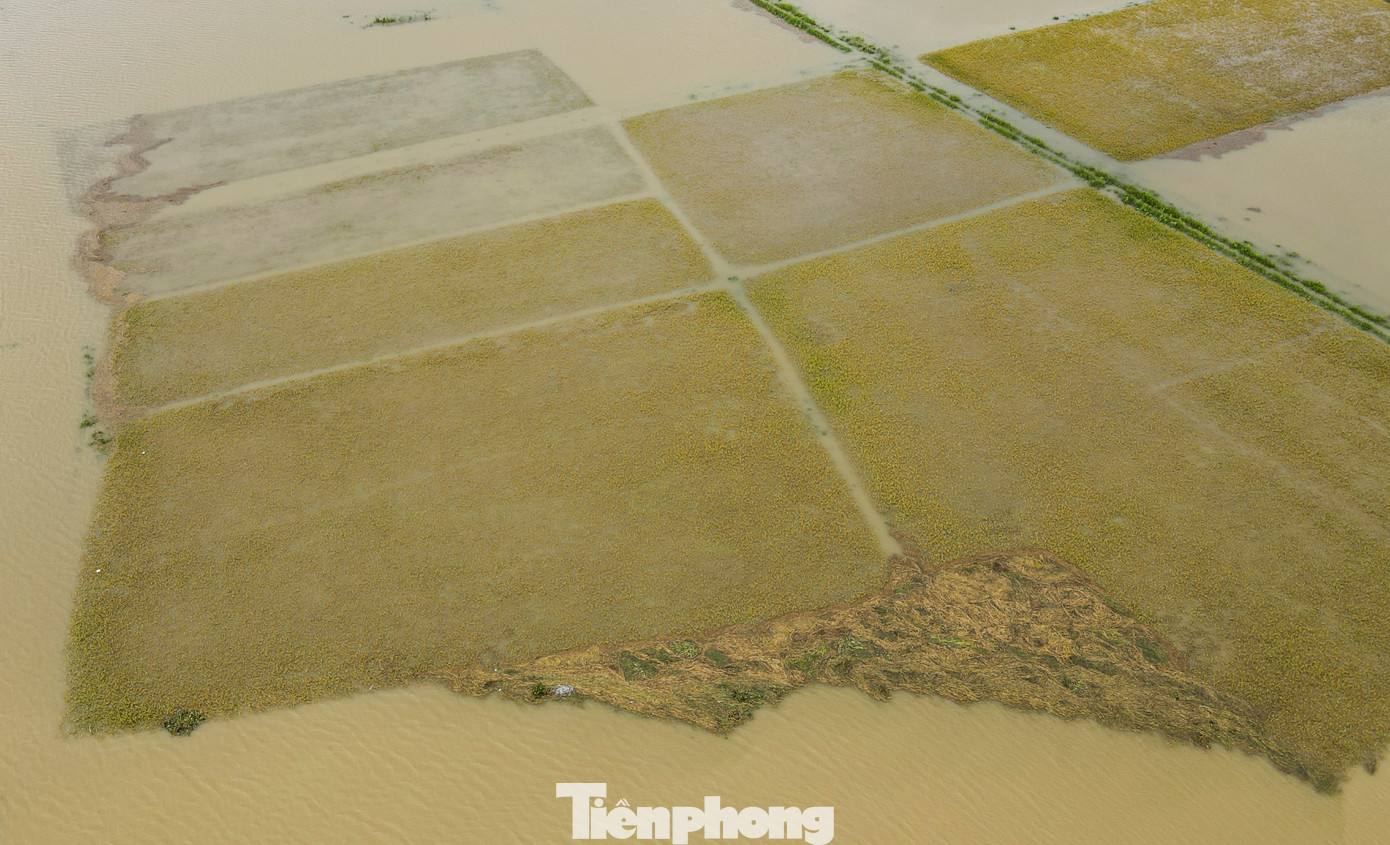 Trận mưa lũ bất thường hôm 25/5 đã khiến nhiều địa phương ở Hà Tĩnh không kịp trở tay, thiệt hại nặng nề về tài sản. Theo thống kê, mưa lũ đã khiến hơn 2.250 ha lúa xuân chưa thu hoạch của người dân bị ngập; 2.076 tấn lúa đã thu hoạch bị ướt; 397 ha cây trồng các loại bị ngập cùng gần 12.000 gia cầm bị chết, cuốn trôi.