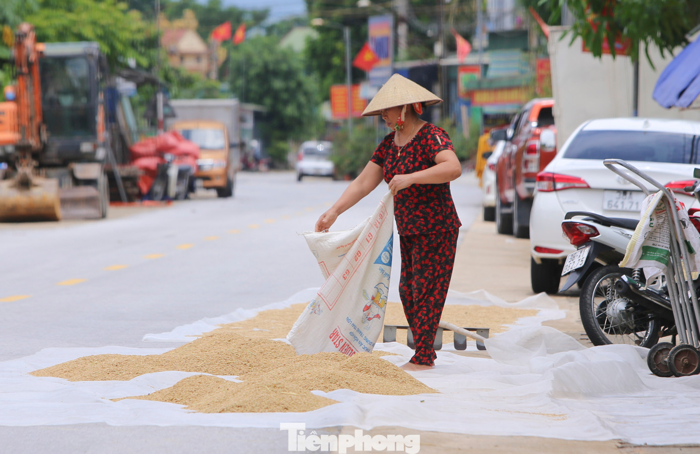 Lũ rút, người dân các xã bị ngập ở huyện Cẩm Xuyên, Thạch Hà... cố phơi lại lúa, giảm thiệt hại do thiên tai gây ra. Lũ rút, người dân các xã bị ngập ở huyện Cẩm Xuyên, Thạch Hà... cố phơi lại lúa, giảm thiệt hại do thiên tai gây ra.