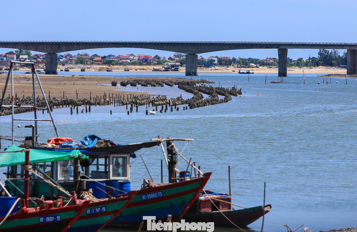 Phía dưới chân cầu Cẩm Lĩnh, người dân tận dụng các trụ bêtông lớn, buộc lốp xe xung quanh để nuôi hàu.