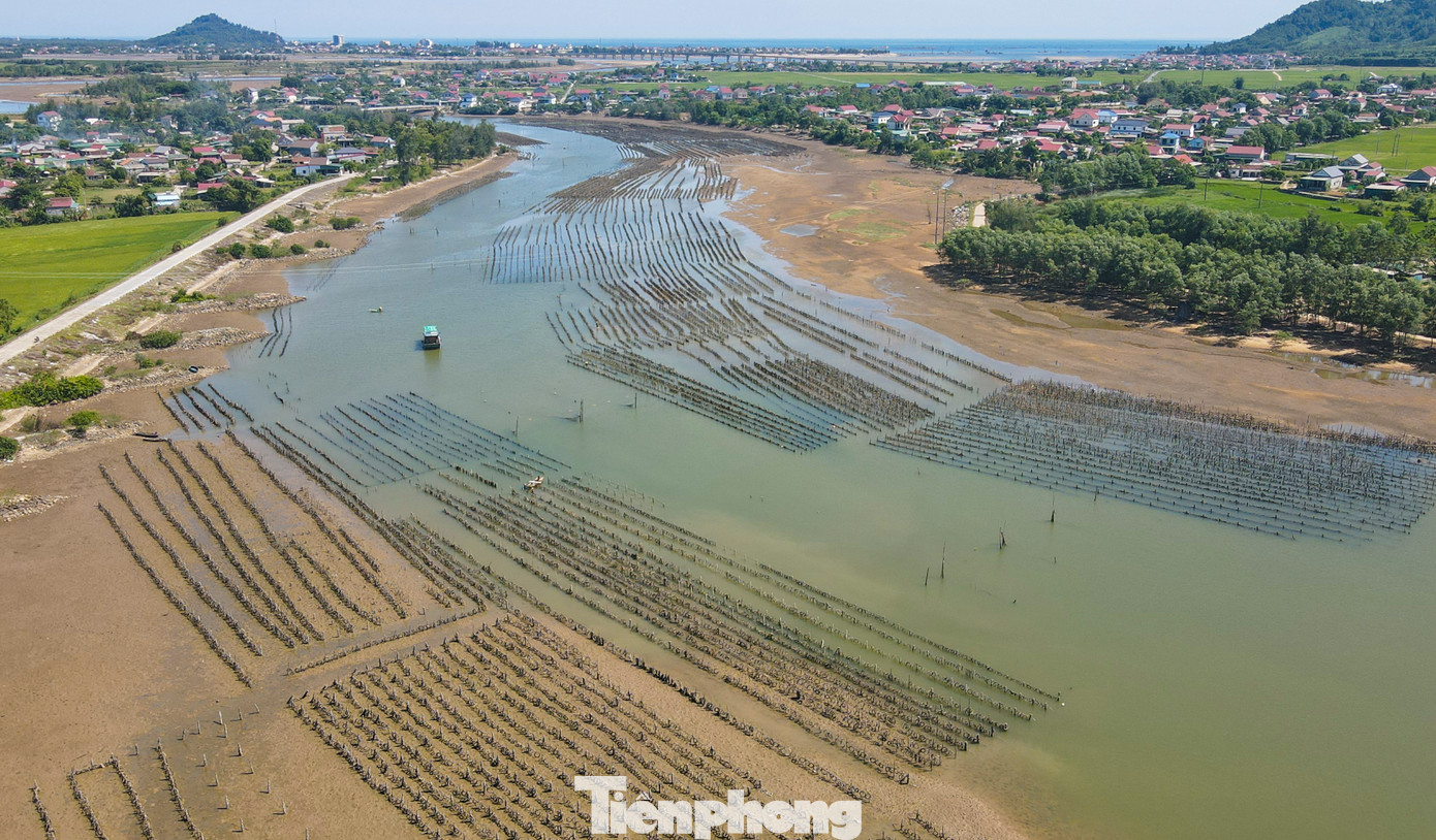 Sông Rác dài 35-40 km, chảy qua hai huyện Kỳ Anh và Cẩm Xuyên, tỉnh Hà Tĩnh. Nhiều năm qua, dọc khúc sông dài hơn 2km qua xã Cẩm Lĩnh và Cẩm Trung (huyện Cẩm Xuyên), người dân cắm hàng nghìn trụ bêtông và cọc tre xuống đáy, cố định bằng dây thừng và lốp xe để làm giá nuôi hàu trái phép.