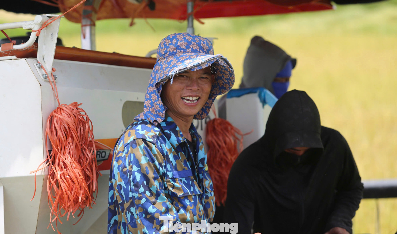 Theo người dân, lúa được mùa cùng với giá thu mua giống lúa này đang ở mức trung bình từ 6.700 - 6.900 đồng/kg, thuộc vào loại cao nhất trong các loại lúa tại địa phương. Mức giá này có tăng so với vụ xuân 2024 từ 500 - 700 đồng/kg nhưng dự báo có nhiều biến động từ nay đến cuối vụ.