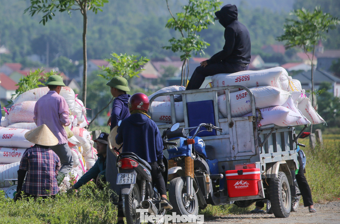 Lúa chín vàng ươm trên các cánh đồng ở huyện Cẩm Xuyên, Can Lộc, Thạch Hà, Kỳ Anh... Những chiếc máy gặt hoạt động hết công suất cả ngày lẫn đêm để thu hoạch lúa.