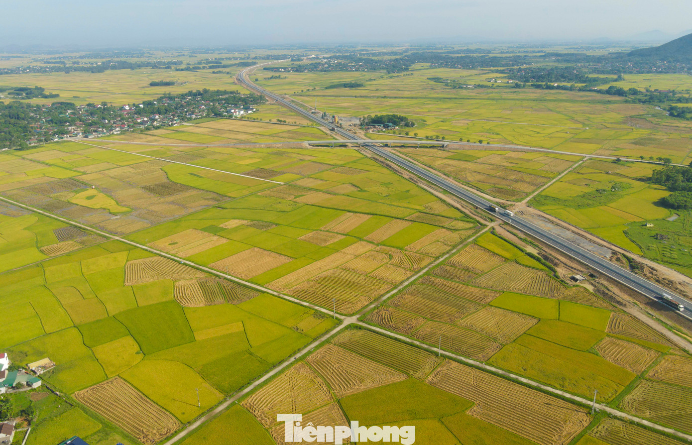 Sau hơn 3 tháng, những vùng lúa rộng lớn chín rộ. Trong hình, cánh đồng lúa chạy dọc hai bên cao tốc Bắc - Nam qua xã Khánh Vĩnh Yên, huyện Can Lộc.