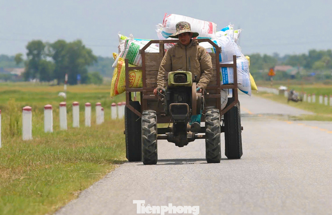 “Vụ mùa này các giống lúa gieo cấy đều cho năng suất cao 3 - 3,5 tạ/sào. Với giá lúa xấp xỉ cao hơn năm trước, ai nấy đều phấn khởi vì được mùa, được giá”, bà Thơm (trú xã Khánh Vĩnh Yên, Can Lộc) cho hay.