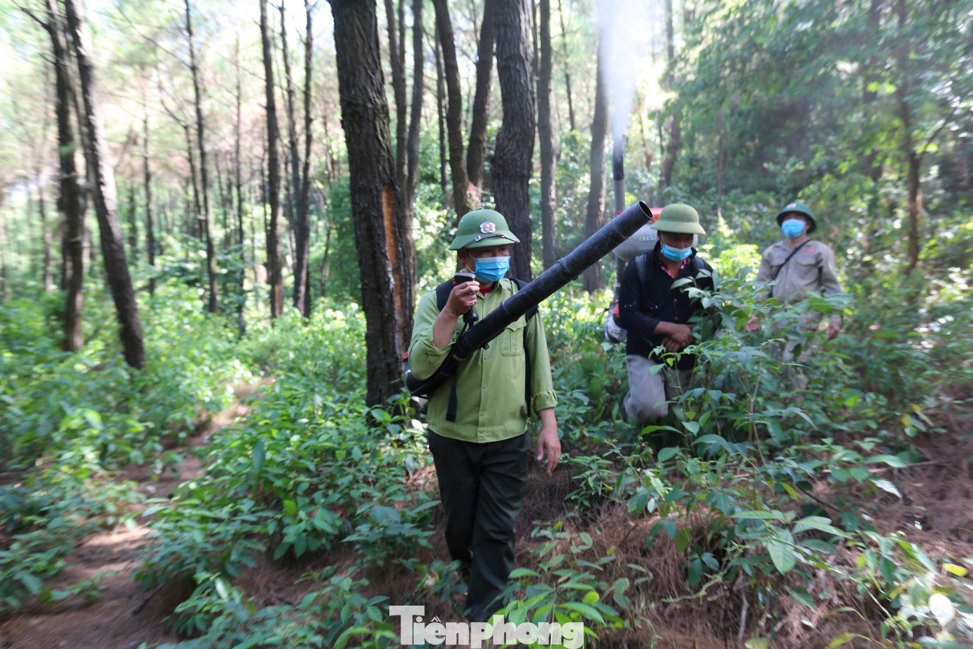 Đến thời điểm này, đơn vị đã phun phòng trừ trung bình 2-4 lần. Riêng những nơi có mật độ sâu 300-400 con/cây, phun thuốc 5-6 lần.