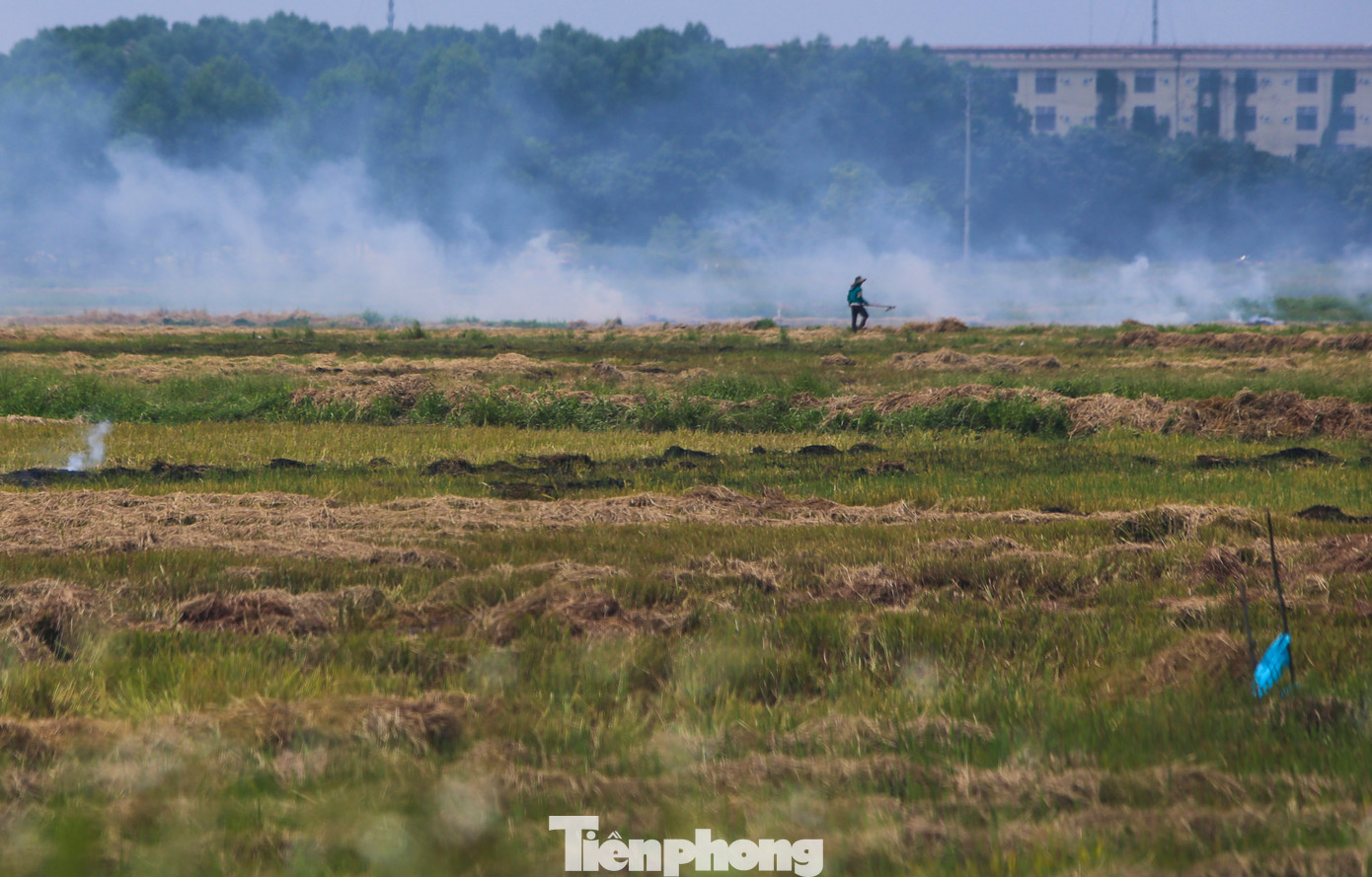 Nhiều năm nay, chính quyền địa phương thường khuyến cáo người dân hạn chế việc này. Nhưng chỉ một bộ phận người dân mang rơm rạ về nhà ủ phân, còn phần lớn chọn phương án đốt ngay tại ruộng. Nhiều năm nay, chính quyền địa phương thường khuyến cáo người dân hạn chế việc này. Nhưng chỉ một bộ phận người dân mang rơm rạ về nhà ủ phân, còn phần lớn chọn phương án đốt ngay tại ruộng.