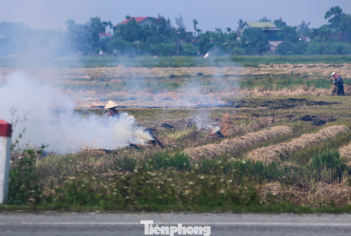 Theo ghi nhận, trên nhiều cánh đồng qua huyện Cẩm Xuyên, Kỳ Anh, Can Lộc, Thạch Hà chạy dọc quốc lộ 1 và cao tốc Bắc – Nam, người dân đốt rơm rạ khiến khói bay mù mịt. Trong ảnh là những cột khói rơm rạ cao hàng chục mét, theo gió cuốn bay ra các tuyến đường, vào khu dân cư. Theo ghi nhận, trên nhiều cánh đồng qua huyện Cẩm Xuyên, Kỳ Anh, Can Lộc, Thạch Hà chạy dọc quốc lộ 1 và cao tốc Bắc – Nam, người dân đốt rơm rạ khiến khói bay mù mịt. Trong ảnh là những cột khói rơm rạ cao hàng chục mét, theo gió cuốn bay ra các tuyến đường, vào khu dân cư.