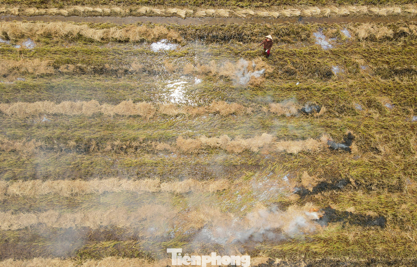 Việc đốt rơm rạ thường diễn ra vào trưa nắng hoặc buổi xế chiều khi có các đợt gió. "Khói rơm mù mịt khiến tài xế hạn chế tầm nhìn. Nếu người lái xe không chú ý sẽ rất dễ gặp tai nạn", tài xế Hồ Tấn (42 tuổi) chia sẻ. Việc đốt rơm rạ thường diễn ra vào trưa nắng hoặc buổi xế chiều khi có các đợt gió. "Khói rơm mù mịt khiến tài xế hạn chế tầm nhìn. Nếu người lái xe không chú ý sẽ rất dễ gặp tai nạn", tài xế Hồ Tấn (42 tuổi) chia sẻ.