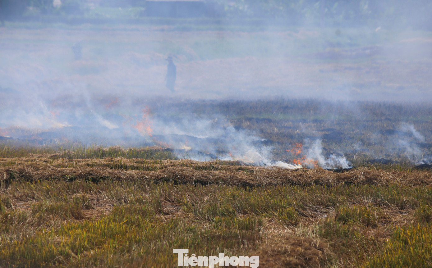 Theo nhiều nông dân, rơm sau thu hoạch lúa có thể chở về nhà làm thức ăn cho gia súc hoặc ủ phân, song không ít người chọn cách đốt lấy mùn. Họ cho rằng đây là thói quen lâu đời và là cách nhanh nhất thu dọn phụ phẩm nông nghiệp để kịp làm đất cho vụ sau. Theo nhiều nông dân, rơm sau thu hoạch lúa có thể chở về nhà làm thức ăn cho gia súc hoặc ủ phân, song không ít người chọn cách đốt lấy mùn. Họ cho rằng đây là thói quen lâu đời và là cách nhanh nhất thu dọn phụ phẩm nông nghiệp để kịp làm đất cho vụ sau.