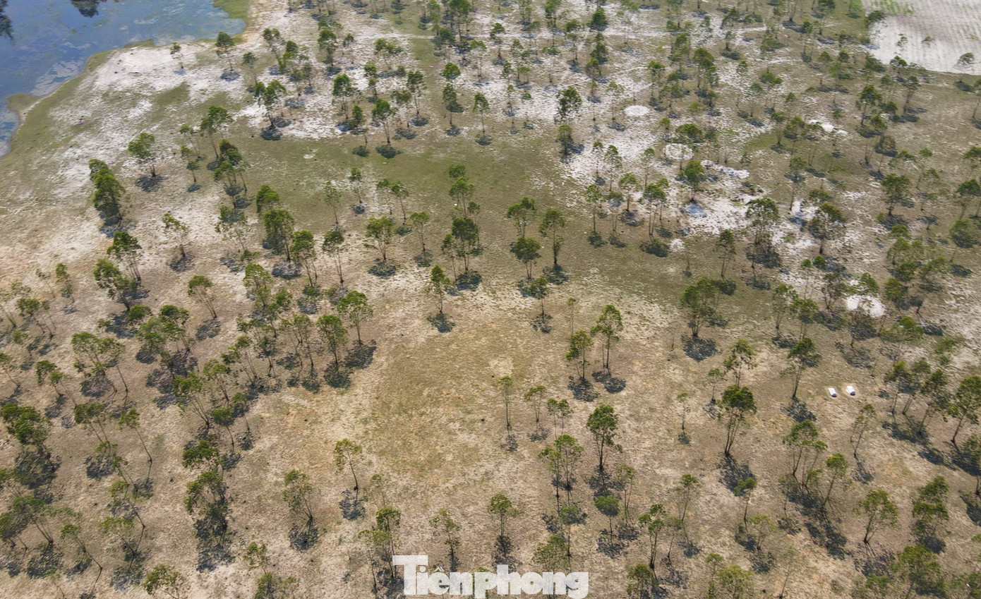 Năm 2014, Bộ Văn hóa - Thể thao và Du lịch đã công nhận Di chỉ khảo cổ học Phôi Phối – Bãi Cọi là di tích cấp Quốc gia. Tuy nhiên, sau 10 năm được "sắc phong" hiện di tích khảo cổ này vẫn đang là bãi đất cát hoang vu với cỏ dại mọc um tùm, ở giữa là rừng bạch đàn. Năm 2014, Bộ Văn hóa - Thể thao và Du lịch đã công nhận Di chỉ khảo cổ học Phôi Phối – Bãi Cọi là di tích cấp Quốc gia. Tuy nhiên, sau 10 năm được "sắc phong" hiện di tích khảo cổ này vẫn đang là bãi đất cát hoang vu với cỏ dại mọc um tùm, ở giữa là rừng bạch đàn.