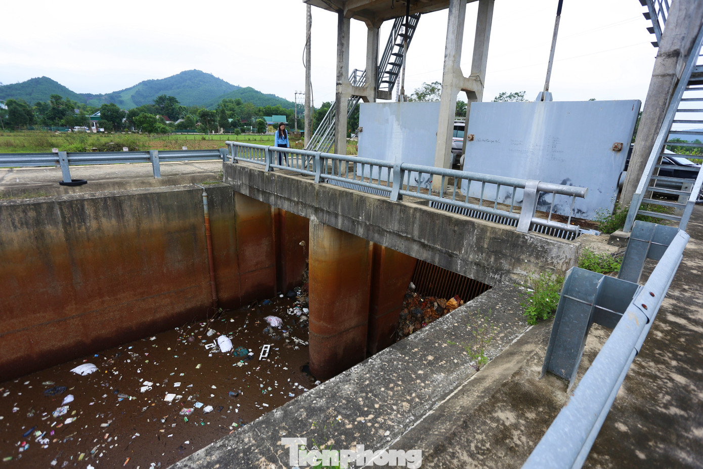 Đủ thể loại chất thải sinh hoạt, túi nylon, bao bì đựng xác động vật bịt kín khu vực xi phông.