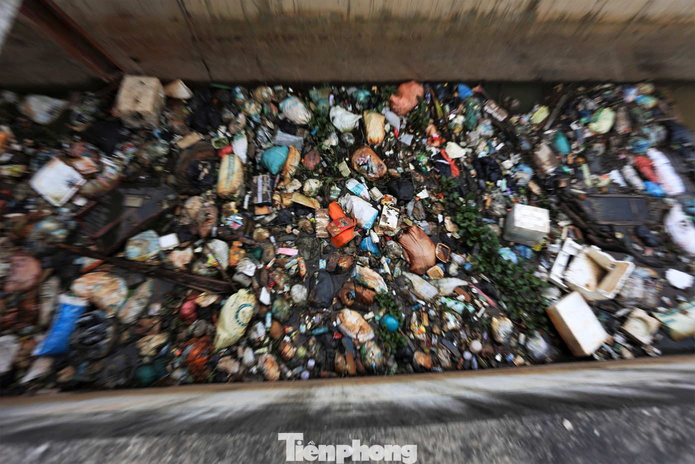 Đủ thể loại chất thải sinh hoạt, túi nylon, bao bì đựng xác động vật bịt kín khu vực xi phông.