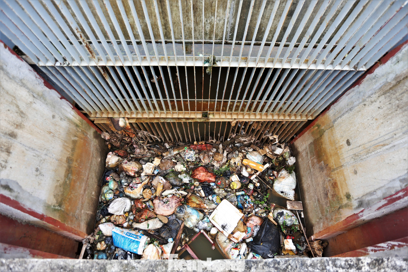 Đủ thể loại chất thải sinh hoạt, túi nylon, bao bì đựng xác động vật bịt kín khu vực xi phông.