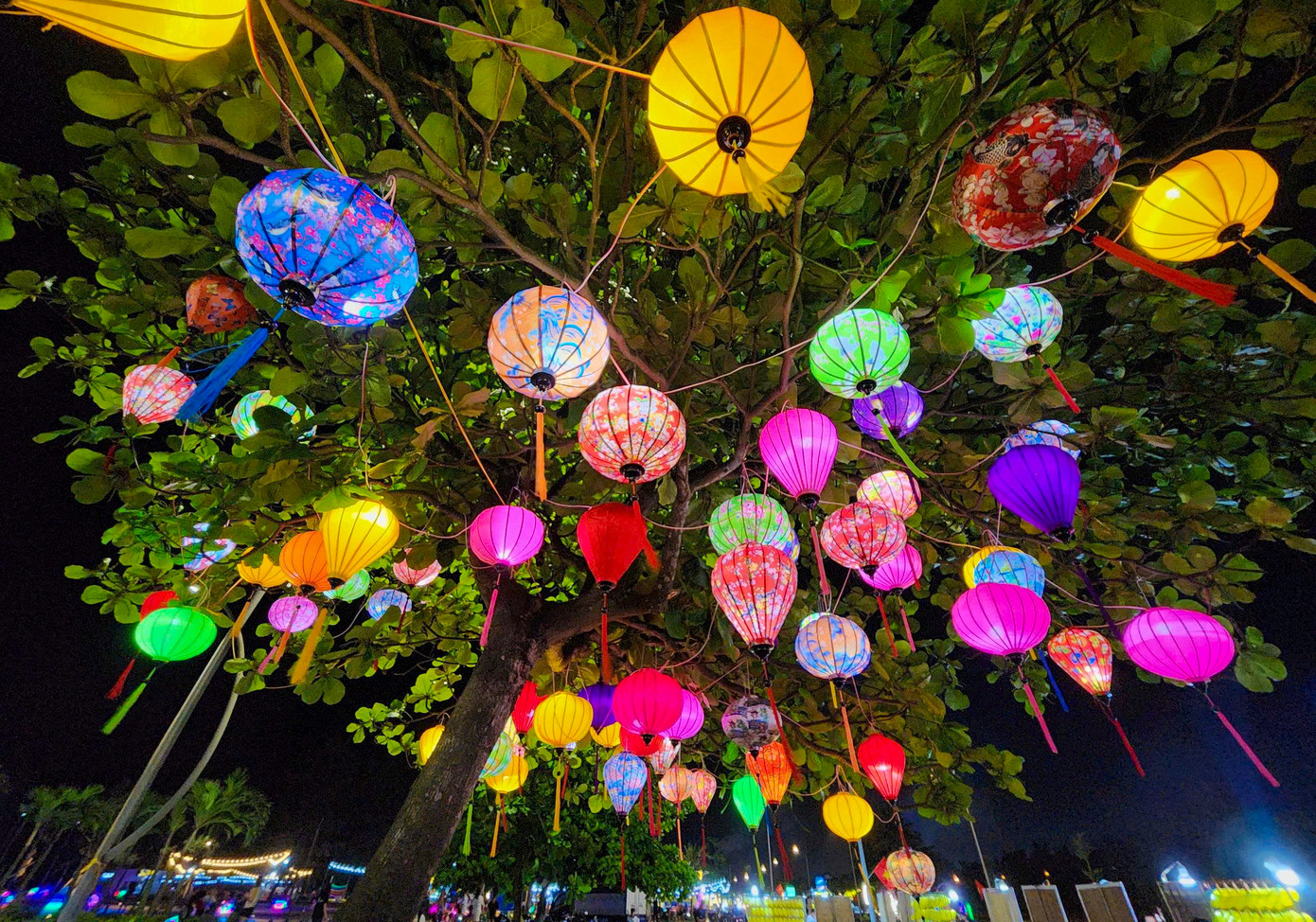 Về đêm, Khu du lịch biển Xuân Thành còn nổi bật với những khu nghỉ dưỡng cao cấp sát biển. Khi mặt trời tắt nắng cũng là lúc hàng ngàn chiếc đèn lồng rực rỡ sắc màu, tỏa sáng trong đêm, mang đến một không gian mới lạ đầy thích thú. Về đêm, Khu du lịch biển Xuân Thành còn nổi bật với những khu nghỉ dưỡng cao cấp sát biển. Khi mặt trời tắt nắng cũng là lúc hàng ngàn chiếc đèn lồng rực rỡ sắc màu, tỏa sáng trong đêm, mang đến một không gian mới lạ đầy thích thú.