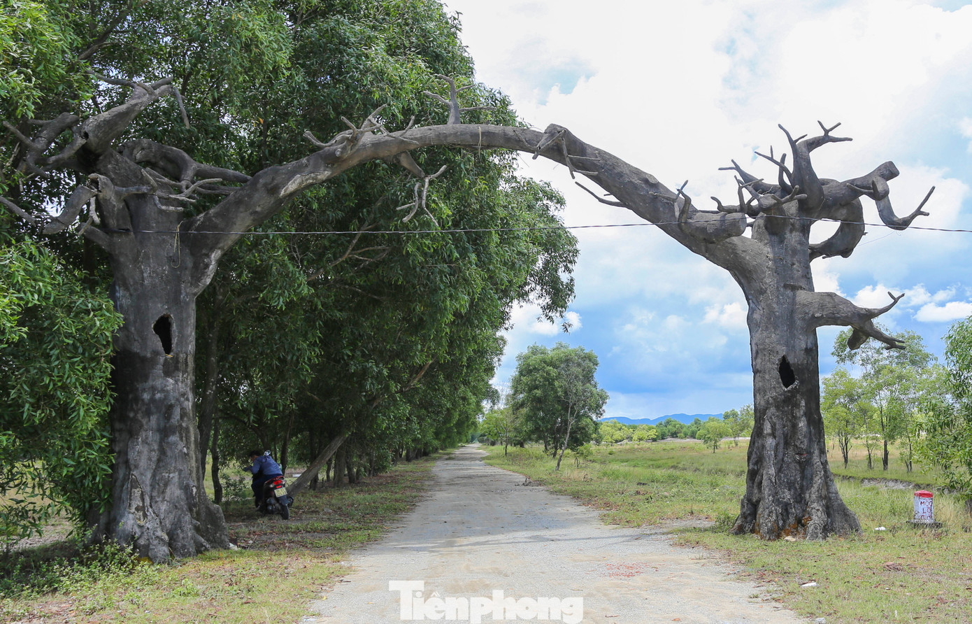 Theo thuyết minh, khu du lịch tích hợp nhiều hình thức vui chơi giải trí và nghỉ dưỡng như: Trượt cát, đi xe mô tô địa hình, tham quan khu vực đầm sen, thưởng thức trái cây tại vườn chợ nông sản, ẩm thực… với tổng mức đầu tư hàng tỷ đồng. Tuy nhiên, sau 8 năm đi vào hoạt động, đến nay, khu du lịch chỉ còn lại đống đổ nát, hoang hóa. Theo thuyết minh, khu du lịch tích hợp nhiều hình thức vui chơi giải trí và nghỉ dưỡng như: Trượt cát, đi xe mô tô địa hình, tham quan khu vực đầm sen, thưởng thức trái cây tại vườn chợ nông sản, ẩm thực… với tổng mức đầu tư hàng tỷ đồng. Tuy nhiên, sau 8 năm đi vào hoạt động, đến nay, khu du lịch chỉ còn lại đống đổ nát, hoang hóa.