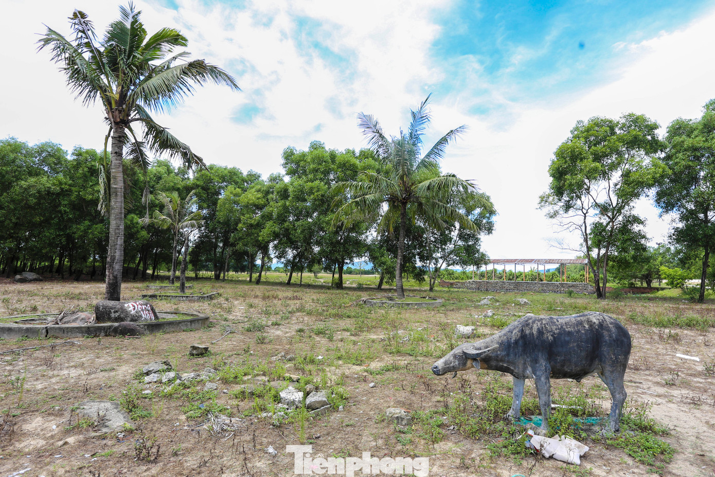 Ông Nguyễn Tiến Trình - Giám đốc Công ty CP đầu tư thương mại dịch vụ và du lịch Thành Sen - cho biết, đơn vị từng 3 năm phối hợp đầu tư khai thác du lịch sinh thái Đồng Nôi. Tuy nhiên, do vướng một số vấn đề về dự án khác ở khu du lịch này nên phải tạm dừng hoạt động. “Khu du lịch sinh thái Đồng Nôi từng thu hút rất đông du khách đến tham quan. Đơn vị từng kỳ vọng rất nhiều nơi đây sẽ là điểm nhấn du lịch cạnh bãi biển Thiên Cầm song khá tiếc khi phải tạm dừng hoạt động theo chủ trương”, ông Trình nói. Trong ảnh là hình ảnh đối lập của khu du lịch khi còn hoạt động và hiện nay. Ông Nguyễn Tiến Trình - Giám đốc Công ty CP đầu tư thương mại dịch vụ và du lịch Thành Sen - cho biết, đơn vị từng 3 năm phối hợp đầu tư khai thác du lịch sinh thái Đồng Nôi. Tuy nhiên, do vướng một số vấn đề về dự án khác ở khu du lịch này nên phải tạm dừng hoạt động. “Khu du lịch sinh thái Đồng Nôi từng thu hút rất đông du khách đến tham quan. Đơn vị từng kỳ vọng rất nhiều nơi đây sẽ là điểm nhấn du lịch cạnh bãi biển Thiên Cầm song khá tiếc khi phải tạm dừng hoạt động theo chủ trương”, ông Trình nói. Trong ảnh là hình ảnh đối lập của khu du lịch khi còn hoạt động và hiện nay.