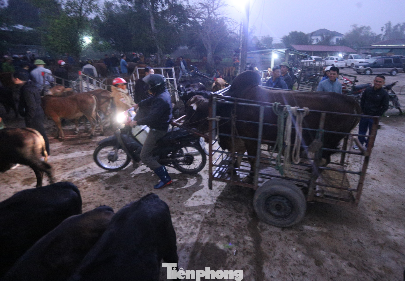 Phiên chợ thu hút đông đảo kẻ bán, người mua. Phiên chợ thu hút đông đảo kẻ bán, người mua.