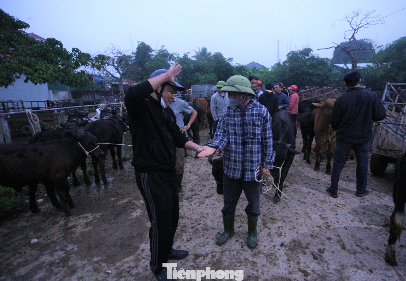 “Mật ngữ” mua bán và cách chốt giá độc đáo tại chợ. “Mật ngữ” mua bán và cách chốt giá độc đáo tại chợ.