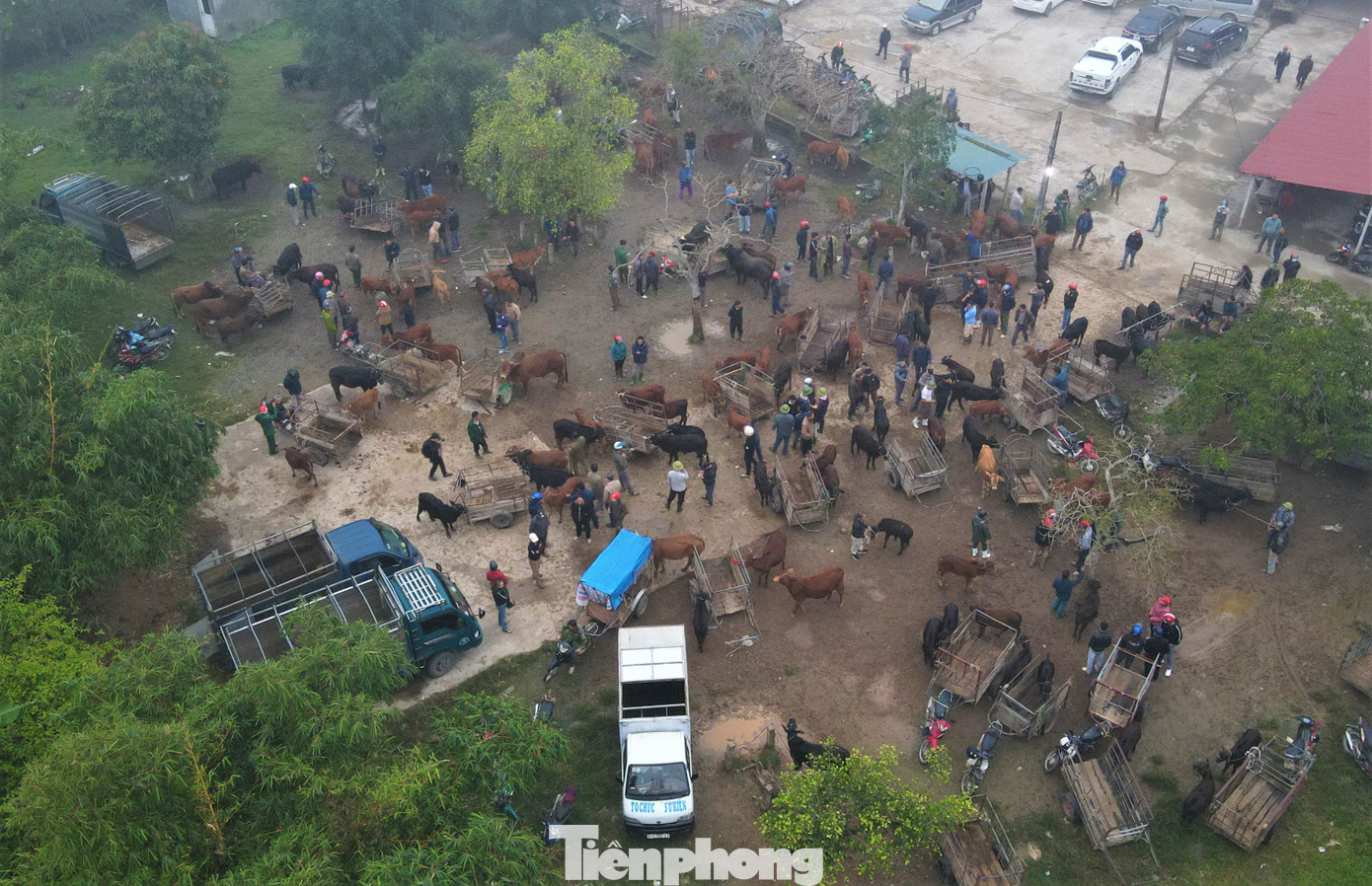 Chợ Nhe là chợ buôn bán trâu bò duy nhất ở Hà Tĩnh. Chợ Nhe là chợ buôn bán trâu bò duy nhất ở Hà Tĩnh.