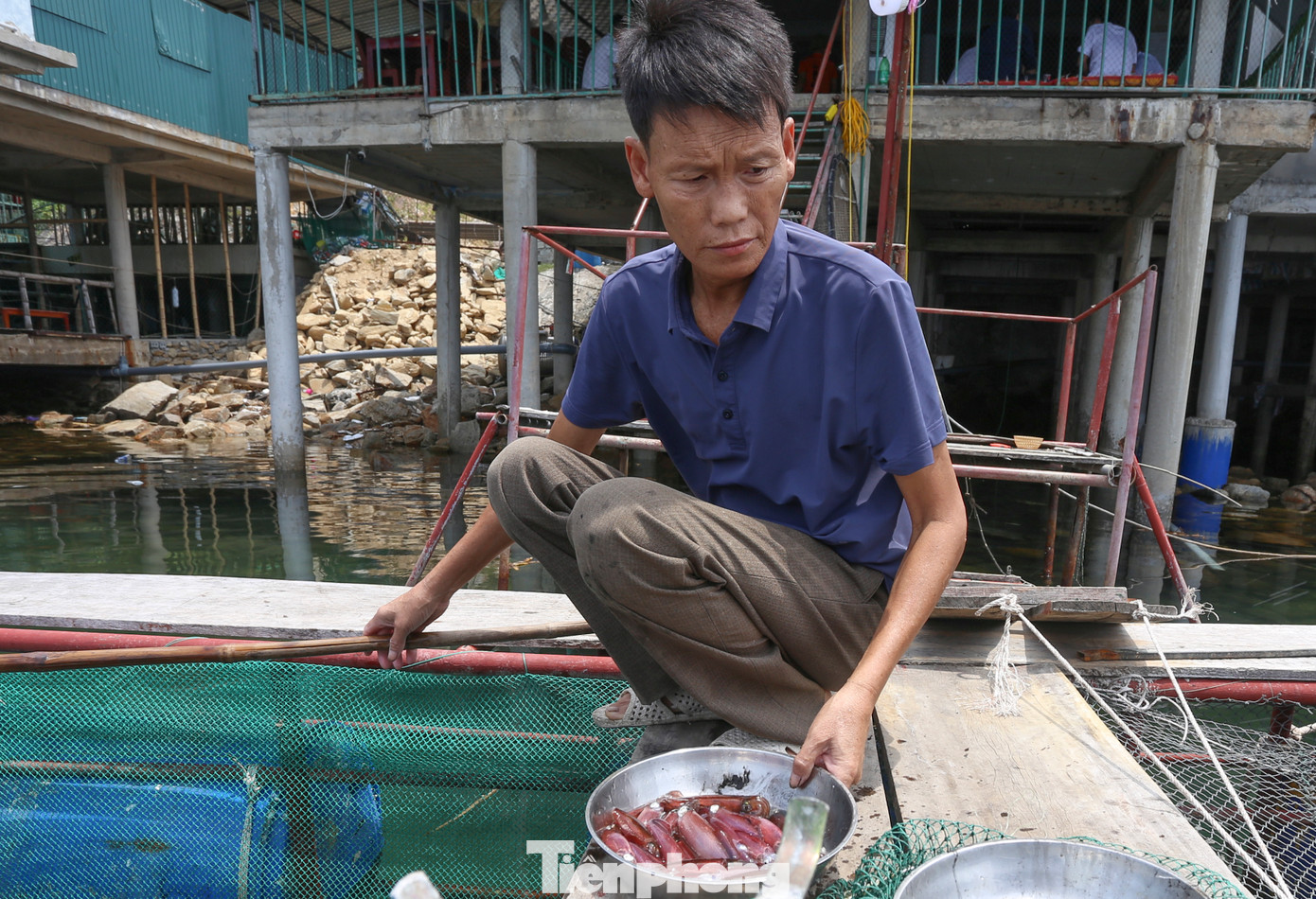 “Thời tiết nắng nóng chính là lúc mực nhảy được người dân và du khách ưa chuộng, mỗi ngày có thể bán đến 30-50kg mực. Khách đến ăn thường gọi trước để nhà hàng chuẩn bị, giá mực đầu mùa khá cao, nhưng ngày lễ hay cuối tuần vẫn không đủ hàng để phục vụ”, bà Thanh Nhàn (chủ 1 nhà hàng) cho hay. “Thời tiết nắng nóng chính là lúc mực nhảy được người dân và du khách ưa chuộng, mỗi ngày có thể bán đến 30-50kg mực. Khách đến ăn thường gọi trước để nhà hàng chuẩn bị, giá mực đầu mùa khá cao, nhưng ngày lễ hay cuối tuần vẫn không đủ hàng để phục vụ”, bà Thanh Nhàn (chủ 1 nhà hàng) cho hay.