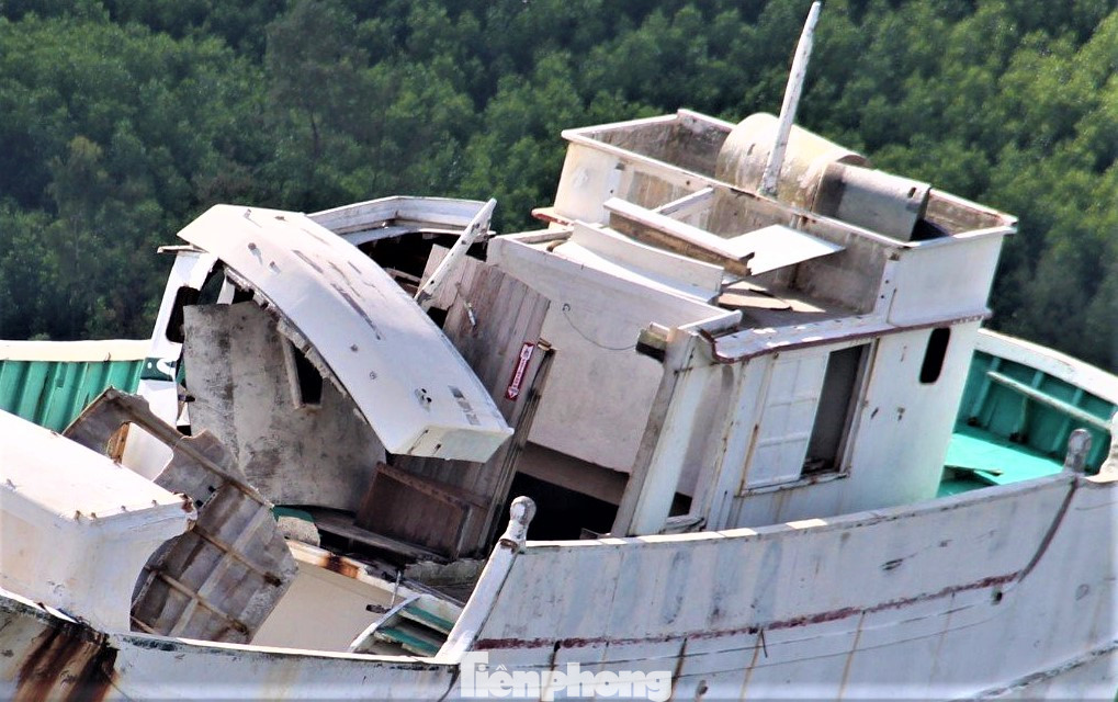 Ông Lê Văn Luyện - Bí thư Đảng ủy xã Kỳ Hà, cho biết, các tàu bỏ không tại khu vực âu tránh trú bão cho tàu cá là loại tàu composite. Ước tính mỗi tàu dài từ 20m đến 25m, rộng từ 4,5m đến 5m, công suất từ trên 1.000CV đến trên 1.500CV, và là loại tàu đánh bắt hải sản trên biển dài ngày.