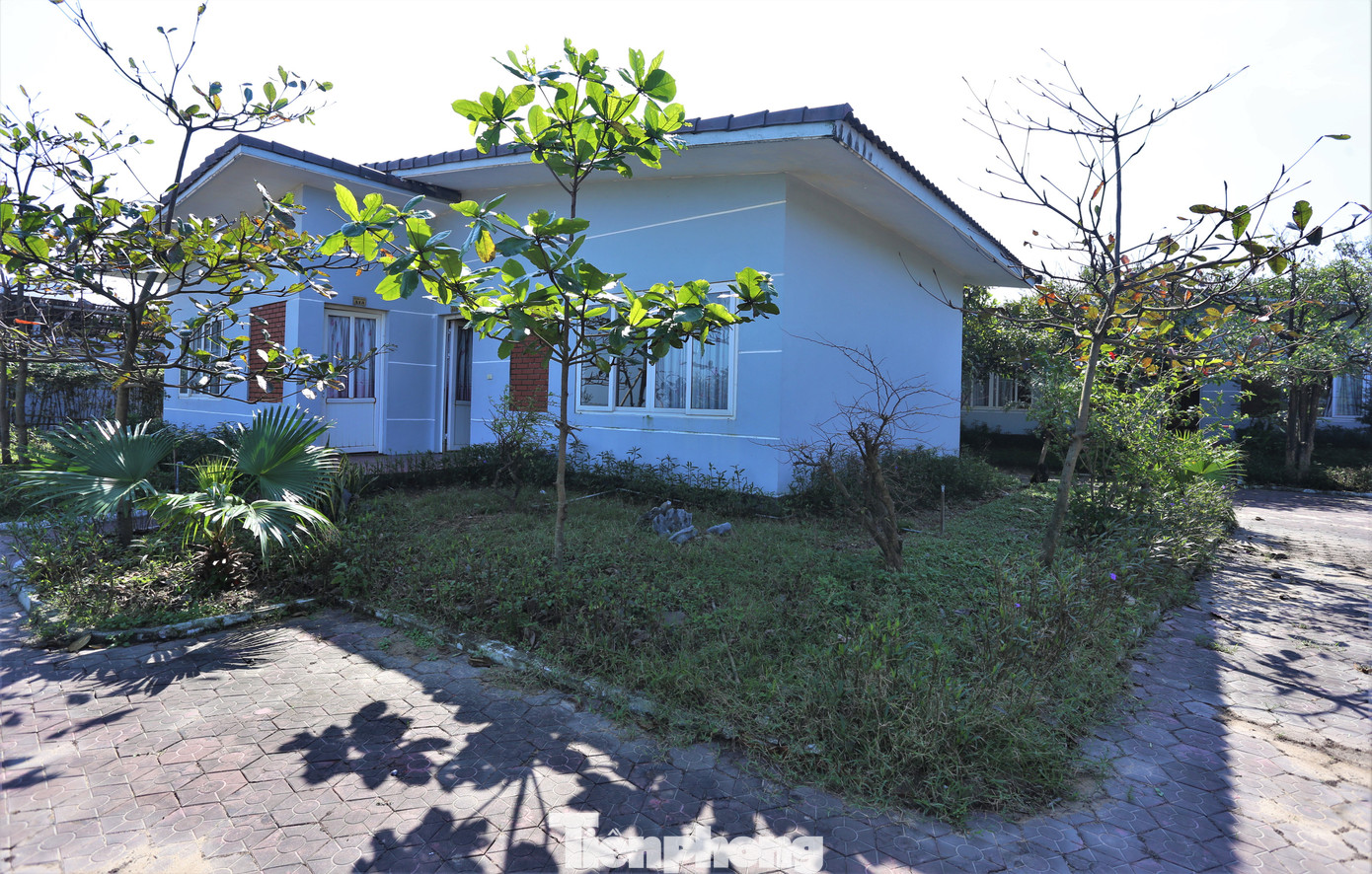 “Địa phương rất muốn doanh nghiệp được chấp thuận đầu tư triển khai dự án để nâng tầm du lịch. Tuy nhiên, việc dự án Tre Nguồn chỉ triển khai 1/3 dự án rồi dừng đầu tư tiếp gây ảnh hưởng cơ hội phát triển. Đơn vị đã nhiều lần kiến nghị nếu không triển khai nên thu hồi, giành cơ hội cho nhà đầu tư khác”, ông Hướng chia sẻ.