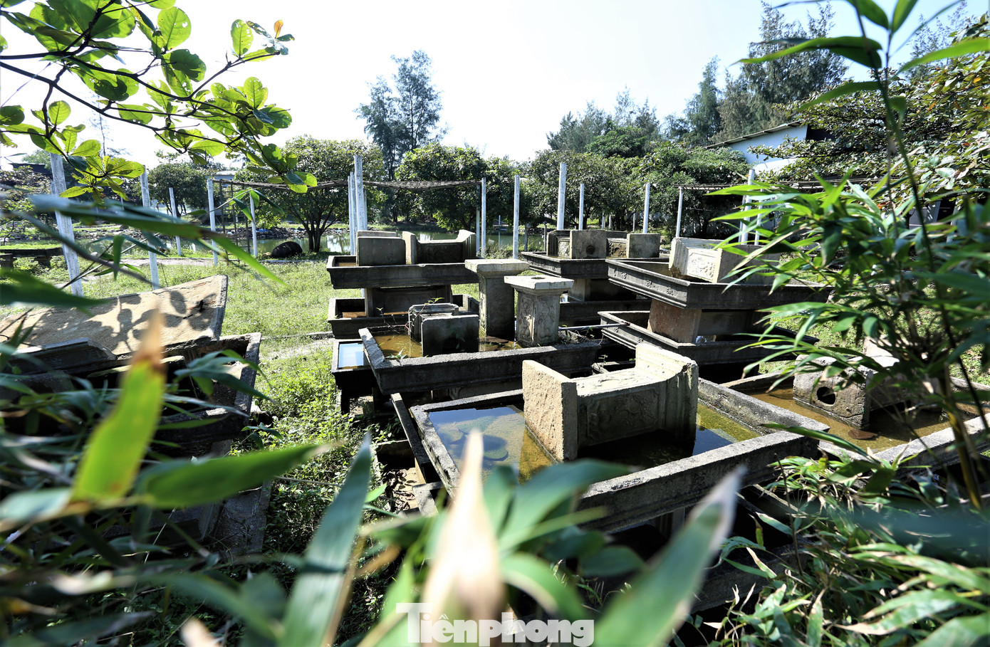 Dự án Tre Nguồn chậm tiến độ đã lâu, nhà đầu tư chỉ xây dựng một số hạng mục, phát huy không hiệu quả, ngày càng xuống cấp.