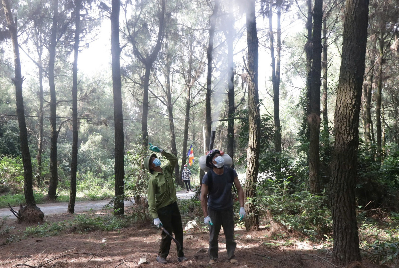 Lực lượng Ban quản lý rừng phòng hộ Hồng Lĩnh phun thuốc phòng trừ sâu diệt sâu róm.