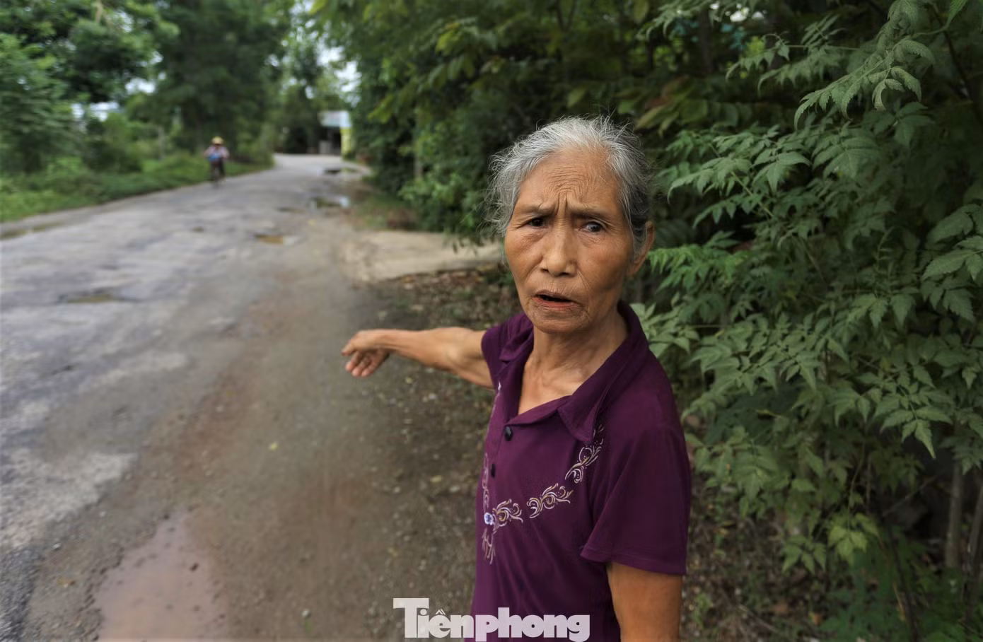 "Đường hư hỏng đã lâu khiến ai nấy đi lại đều khó khăn, nhất là các cháu học sinh. Buổi ngày còn đỡ nhưng buổi tối nhiều vụ tai nạn đã xảy ra do không thể tránh né hết các ổ gà, ổ voi", bà Mai (76 tuổi, trú xã Kim Song Trường), cho hay.