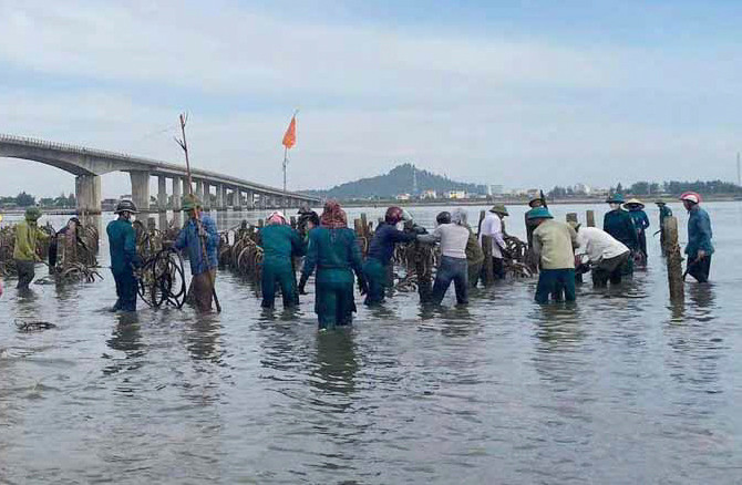 Hàng nghìn cọc nhọn đang được tháo dỡ.