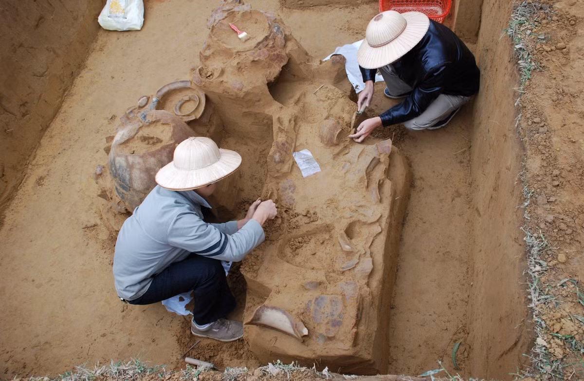 Thông qua nhiều lần khai quật có sự tham gia của các nhà nghiên cứu văn hóa, kết quả cho thấy, Bãi Cọi là di tích khảo cổ học đặc biệt, bởi nó mang đặc trưng của cả hai nền văn hóa Đông Sơn và Sa Huỳnh nổi tiếng. Năm 2014, Bộ Văn hóa, Thể thao và Du lịch đã công nhận Di tích Khảo cổ học Bãi Cọi là Di tích cấp Quốc gia.
