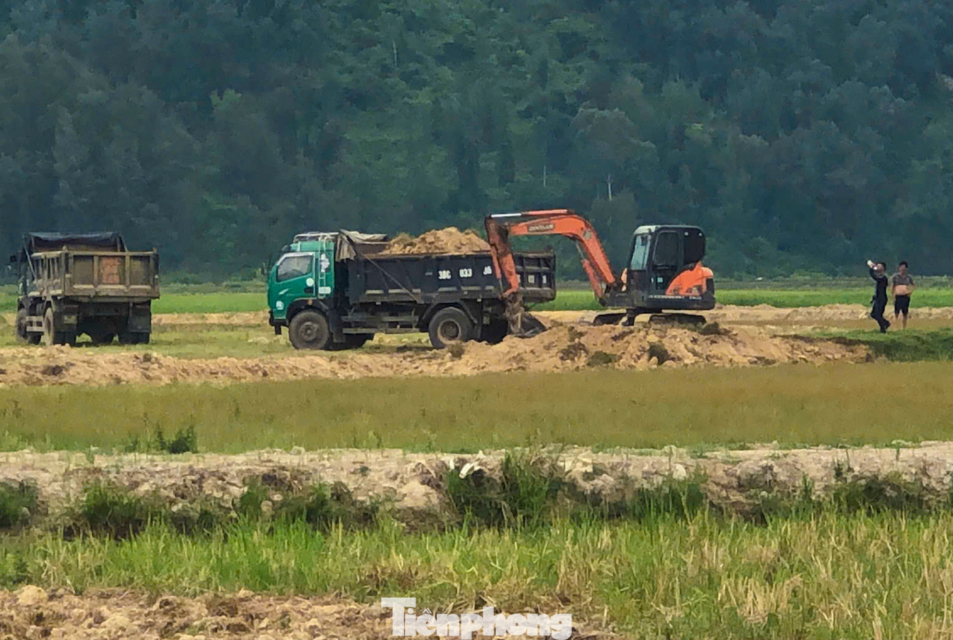 Nhiều người lợi dụng việc cải tạo ruộng đất để bán đất, trục lợi.